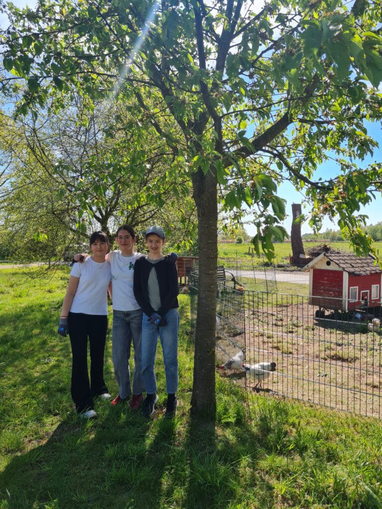 BNE Projektwoche