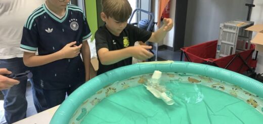 Physik OWL Finale 2026