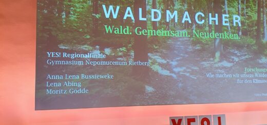 Wald Präsentation